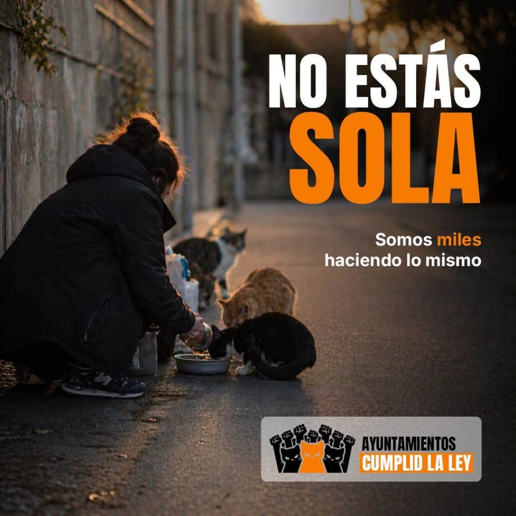 6 de septiembre | Movilización por las colonias felinas