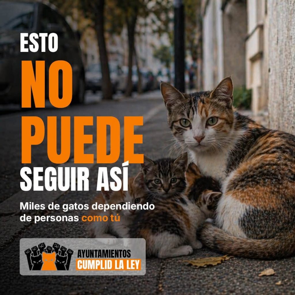 6 de septiembre | Movilización por las colonias felinas