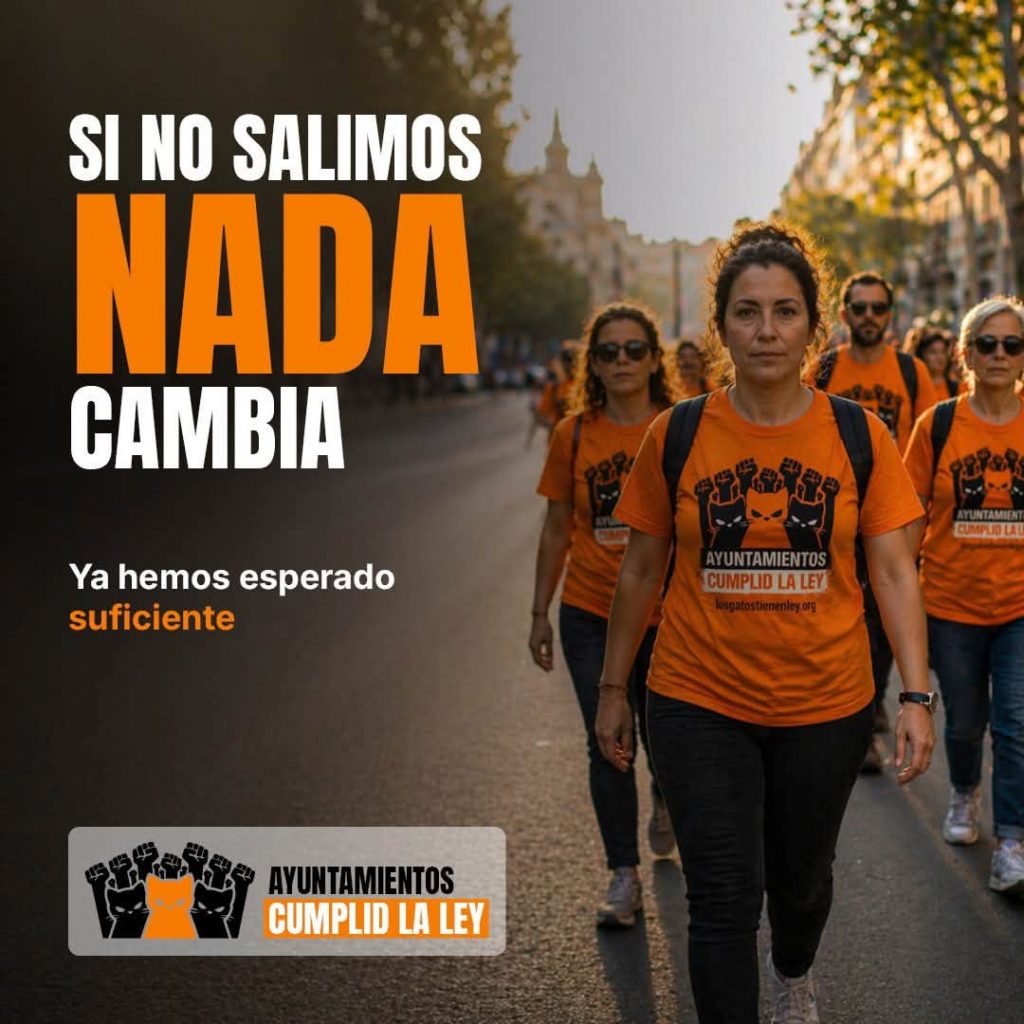6 de septiembre | Movilización por las colonias felinas